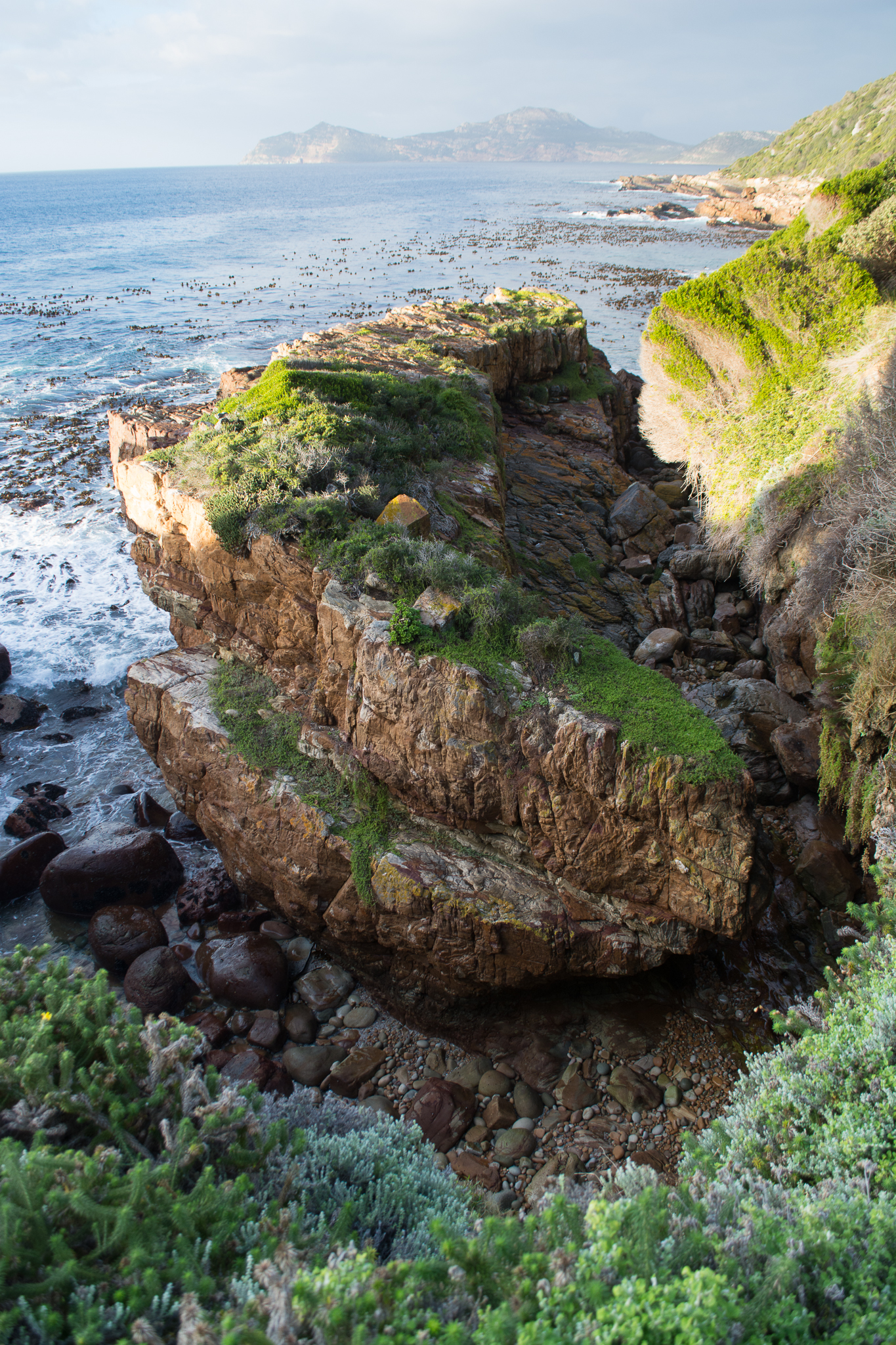 07 14 Cape Point Sea Cave Geography Project 61